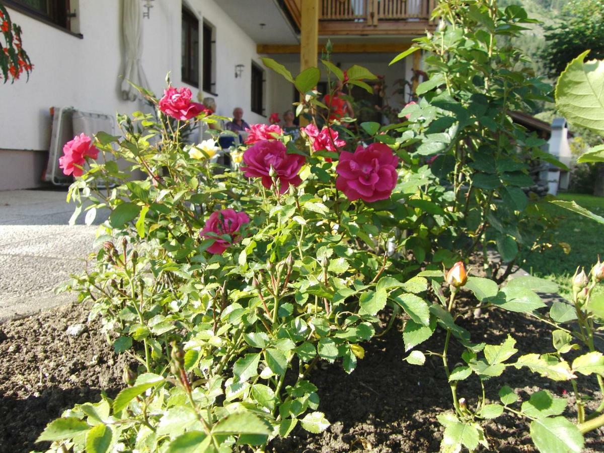 Appartements Wacker Bichlbach Exterior photo